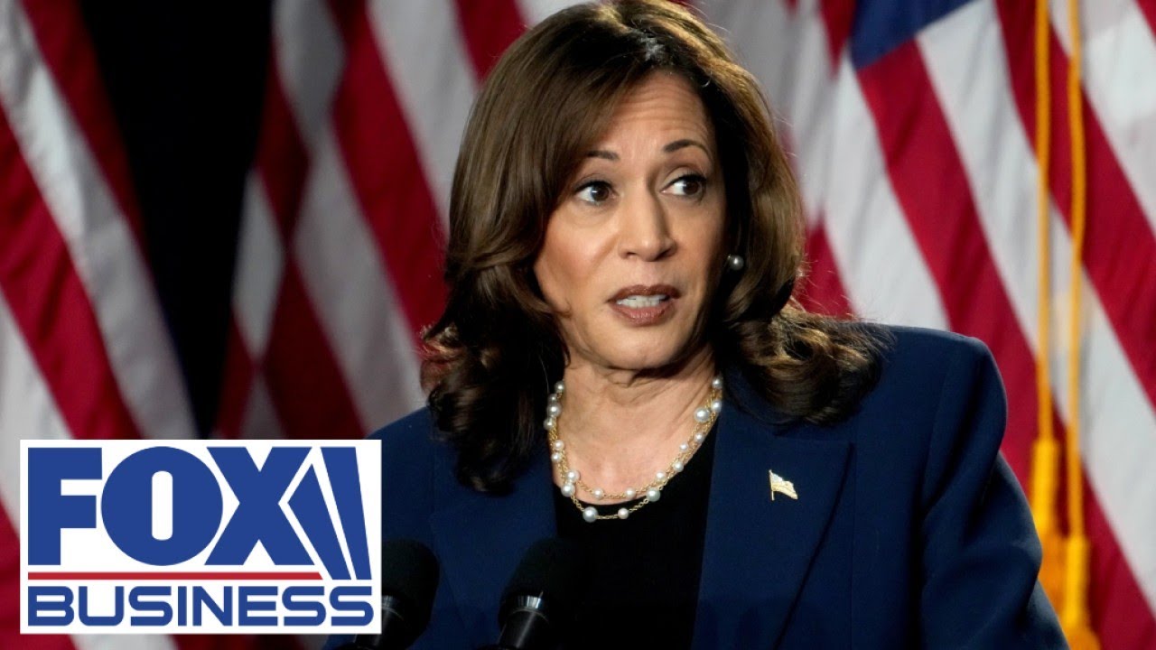 Small business owner responds to Kamala Harris’ price gouging accusations